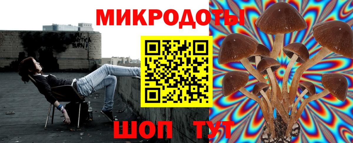 Псилоцибиновые грибы мицелий Междуреченск