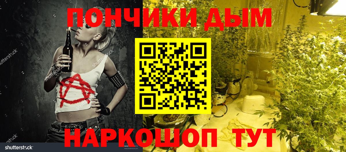 Канабис сатива Междуреченск